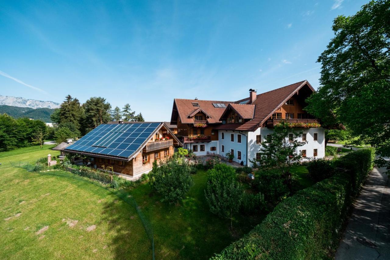Bauernbraugut Lägenhet Hallein Exteriör bild